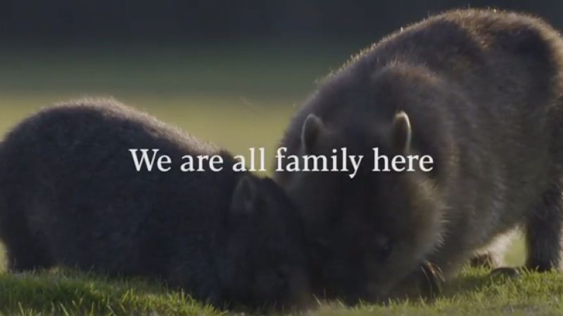 A New Tasmania Tourism Ad Legit Uses The Line “We’re All Family Here” & Oh Fuck Me Rigid, No
