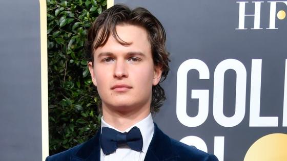 Ansel Elgort Admits To Having Relationship With A Fan, Denies Sexual Assault Allegations