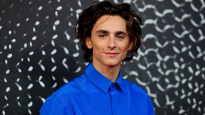Timothée Chalamet Has Been Spotted Kissing Someone Who Suspiciously Looks Nothing Like Me