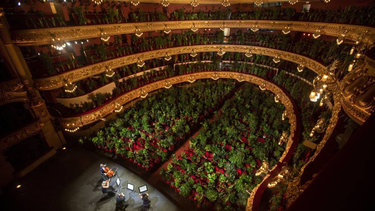 Barcelona Held Its First Opera In Three Months To A Captivated Audience Of 2292 Indoor Plants