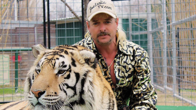 ‘Tiger King’ Zoo Under Investigation After Leaked Images Show Tigers With Fly-Infested Wounds