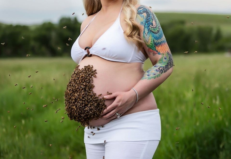 Bee Maternity