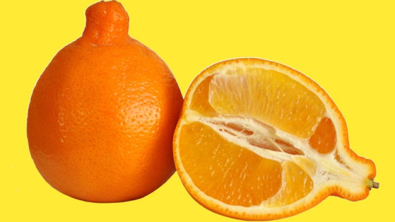 Just Gonna Say It: The Tangelo Is The King Of Citrus Fruits