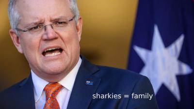 Scott Morrison Is Taking Time Off To See His Family & By Family, He Means The Cronulla Sharks