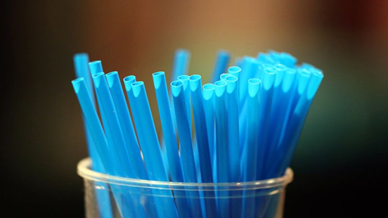 Queensland Is Looking To Ban All Single-Use Plastic Straws, Plates, & Cutlery By Mid-2021