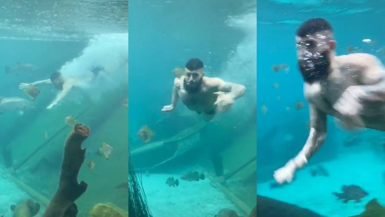 Footage Has Emerged Of A Grade-A Moron Swimming In The Aquarium At Sydney Zoo In His Jocks
