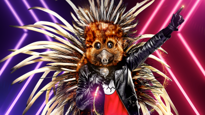 Who Is The Subtly Terrifying-Looking Echidna On The Masked Singer Australia 2020?