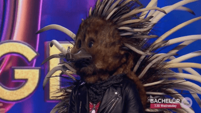 Masked Singer Just Revealed The Elusive Echidna & Uhh, Whomst Is This