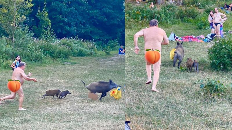 Happy Monday, Here’s A Nudist Running After A Laptop-Snatching Wild Boar