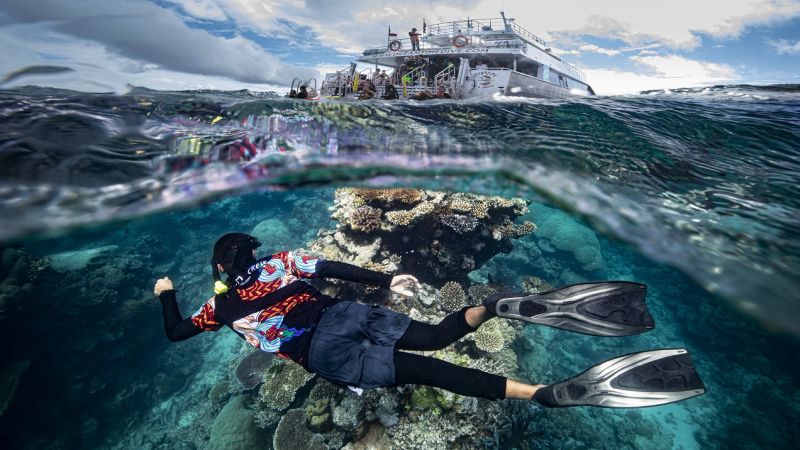 See The Great Barrier Reef In A Whole New Way Post-Iso With This Indigenous-Led Tour