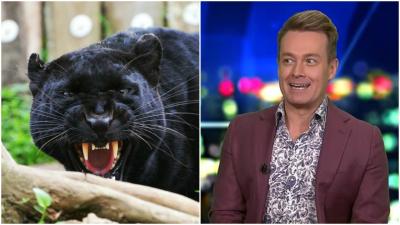 Big Cat Truther Grant Denyer Told Me The Story Of His Lithgow Panther Sighting & I Believe It