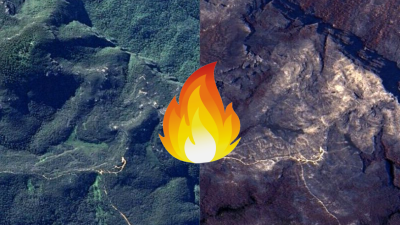 New Side-By-Side Satellite Images Show Just How Fucked The Aussie Black Summer Bushfires Were
