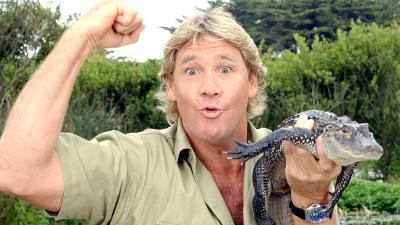 It’s Been 14 Years Since Steve Irwin’s Death & I Still Cry Over The Tributes Every Year