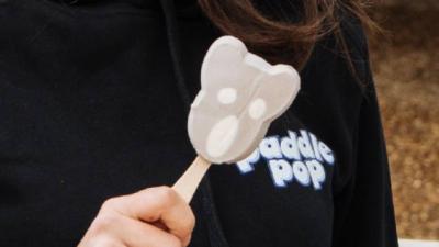 Make Space In The Freezer, An Adorable Koala-Shaped Paddle Pop Is Hitting Shops This Month