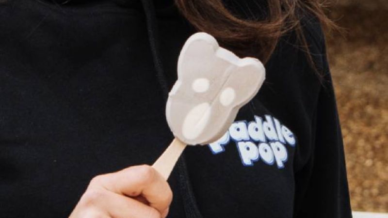 Make Space In The Freezer, An Adorable Koala-Shaped Paddle Pop Is Hitting Shops This Month