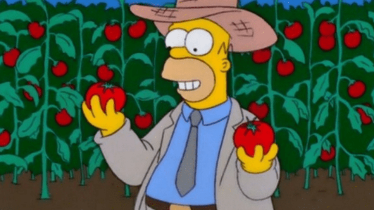Farmers Associations Are Now Calling For HECS Debt Cuts In Order To Convince You To Pick Fruit