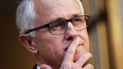 Messy Bitch Malcolm Turnbull Is Liking Shady Tweets About The NSW Government’s Koala Chaos