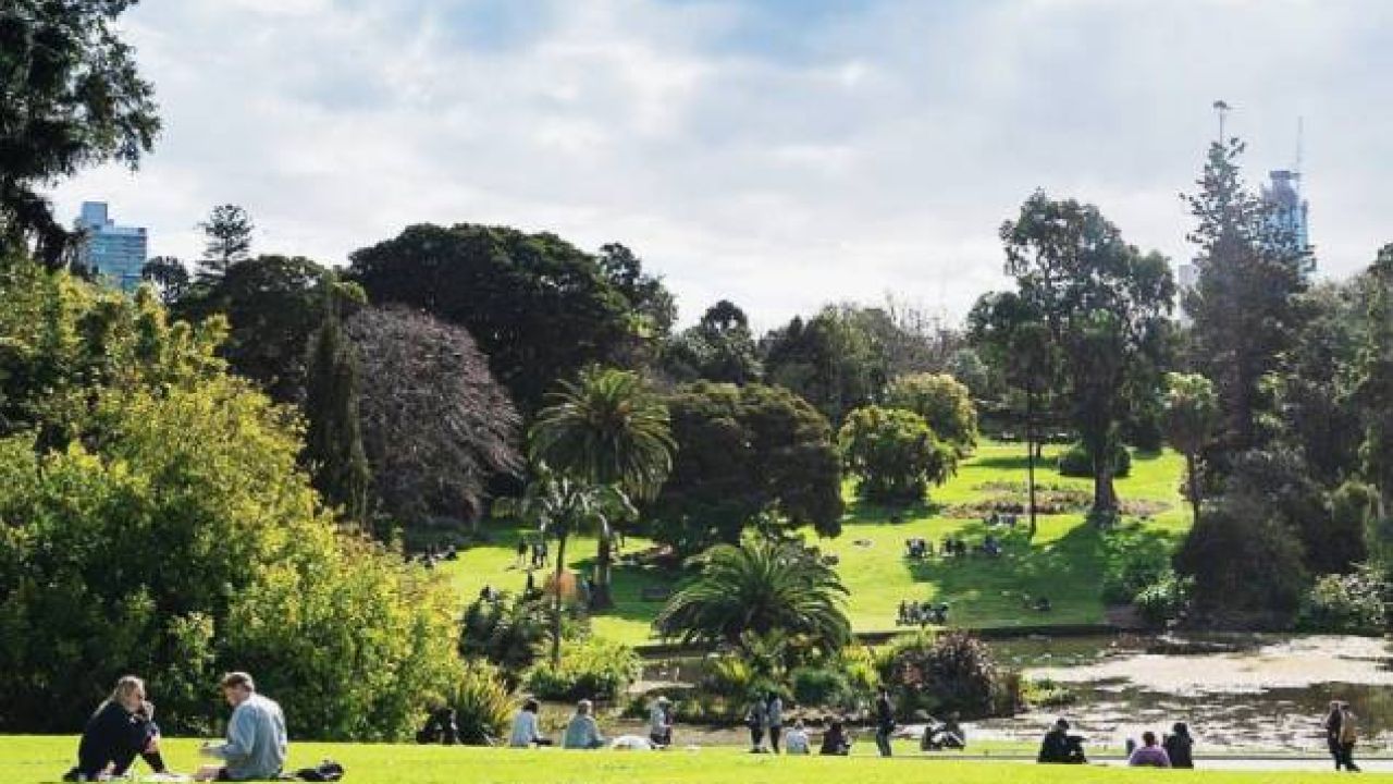 Melb’s Royal Botanic Gardens Are Reopening This Weekend If Yr Within 5km & Keen For A Sniff