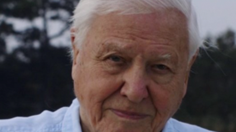 Nature’s King David Attenborough Just Joined Insta & Already Has A World Record 2.7M Followers