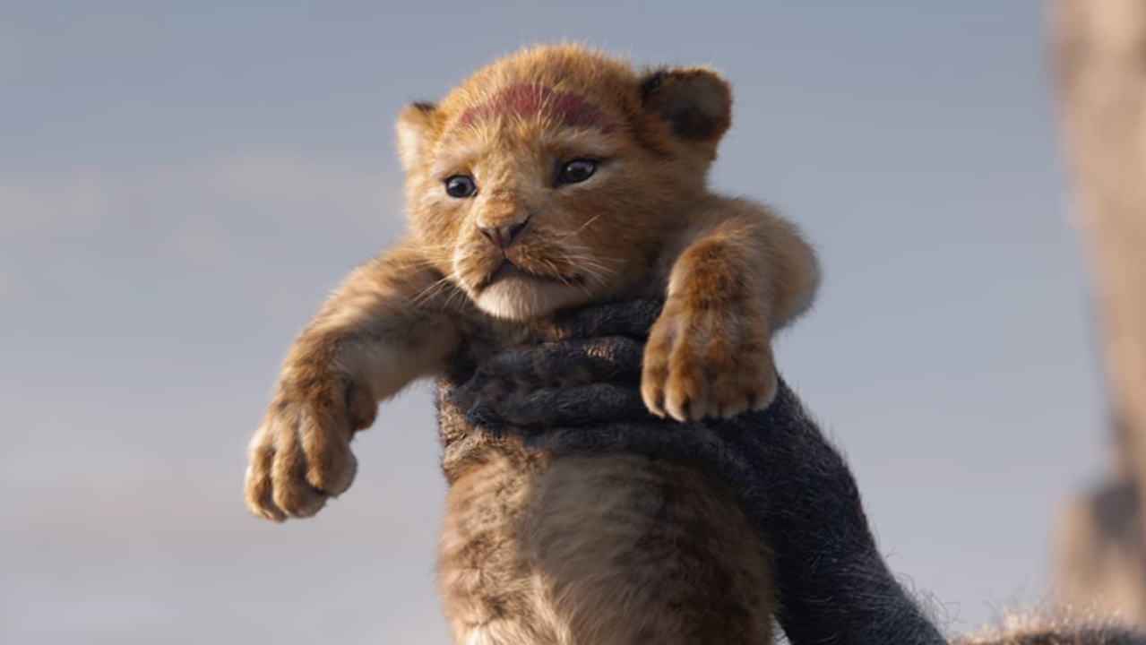 Moonlight’s Barry Jenkins Will Helm A New Lion King Flick & It Might Be A Completely New Story