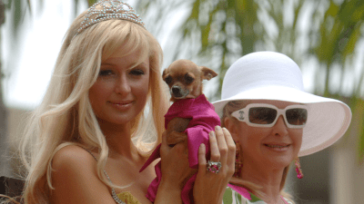 That’s Hot: Ranking Paris Hilton’s Dogs Based On How Much Of A Cultural Reset They Were