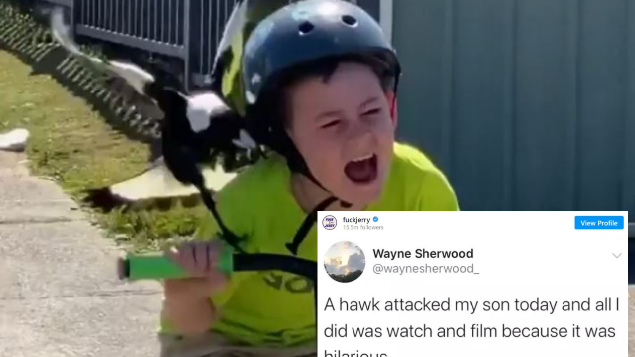 FuckJerry Stole That Viral Swooping Magpie Vid But Called It A ‘Hawk’ & Come The Fuck On, Man