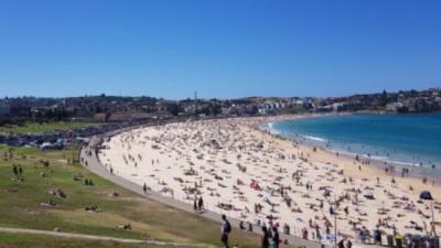 Bondi Beach Is Literally Full & The Local Council Has Asked People To Reconsider Their Arvo Dip