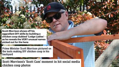 Here’s How Readily Australia’s Media Bought Into Scott Morrison’s Chicken Coop PR Stunt