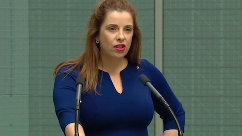 This MP Slammed The Budget’s Lack Of Childcare Funding As Her Unborn Twins Kicked From Inside