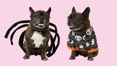 Big W Has Unleashed A Halloween Range For Your Spooky Little Shit Of A Dog