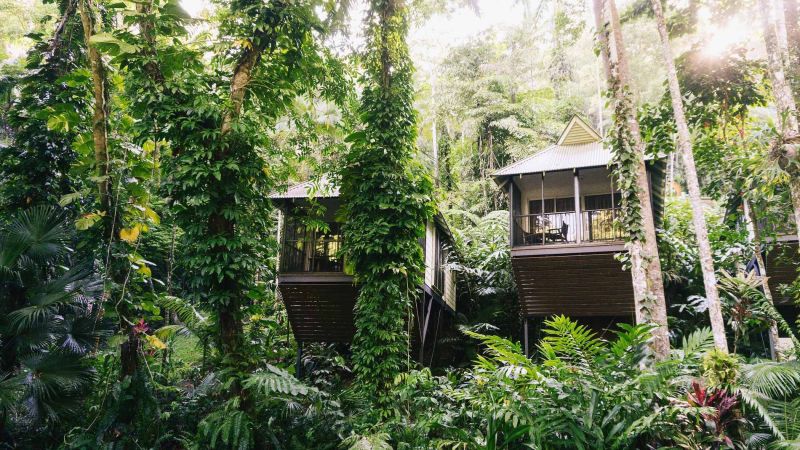 These Wild Hidden Treehouses In Queensland Are Perfect If You’ve Ever Wanted To Go Full Tarzan
