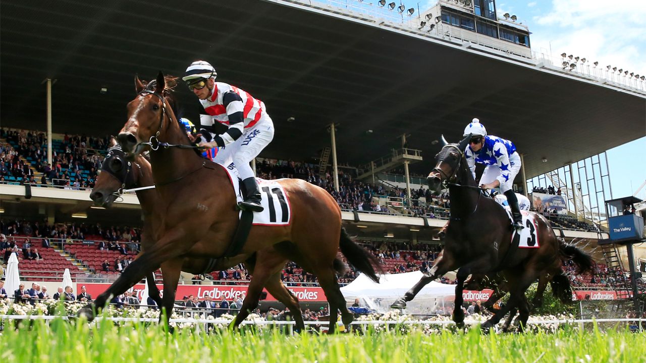 Vic Government Backflips On Letting 1,000 People Head To The Races This W/E After Huge Outrage