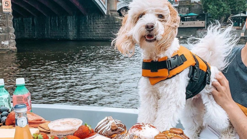 Melbourne’s Dog-Friendly Floating Picnics Are Back On The Yarra Like It’s 2019 Again