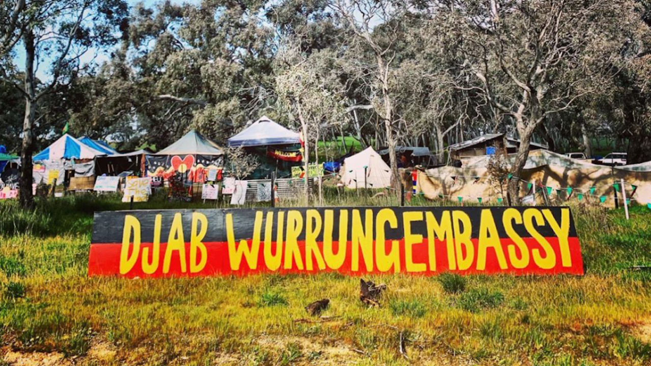 Horrified By The Djab Wurrung Direction Tree Destruction? Here’s 5 Ways To Help Right Now