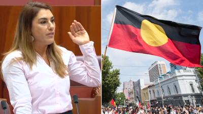 The Govt Shot Down A Motion To Fly The Aboriginal & Torres Strait Islander Flags In Parliament