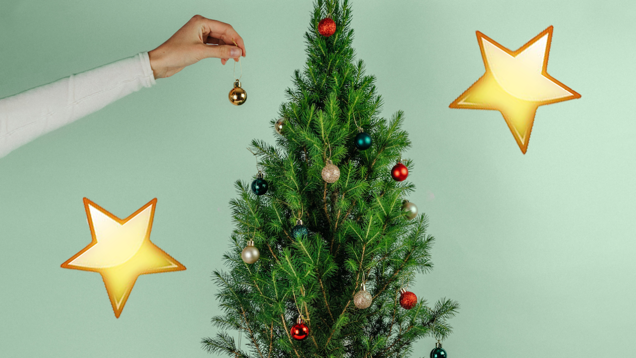 This Melb Florist Is Delivering Mini Xmas Trees So Your Short Mates Can Finally Do The Star