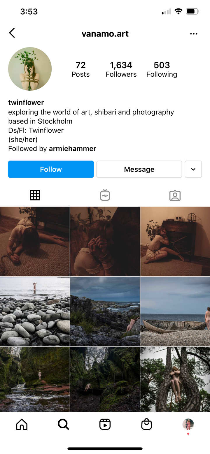 Fans Noticed Armie Hammer Is Following Horny Pages On IG And Who Doesn’t Like A Bit Of Rope?