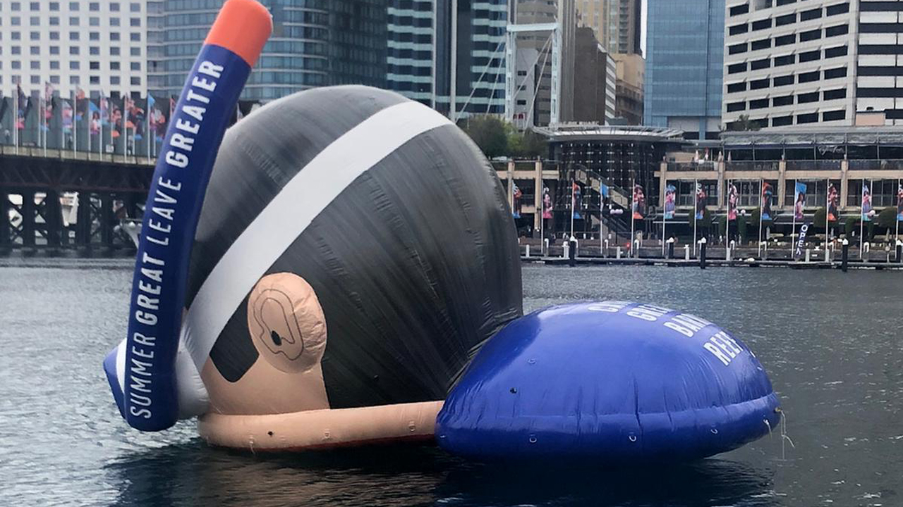 There’s A Huge Snorkeller’s Head Floating In Darling Harbour RN & Ah, What’s Going On There?