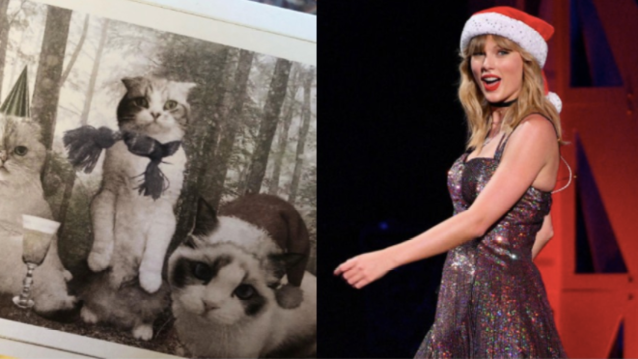 Taylor Swift & Her Cats Have Saved Christmas 2020 With The Cutest Fucking Card You’ve Ever Seen