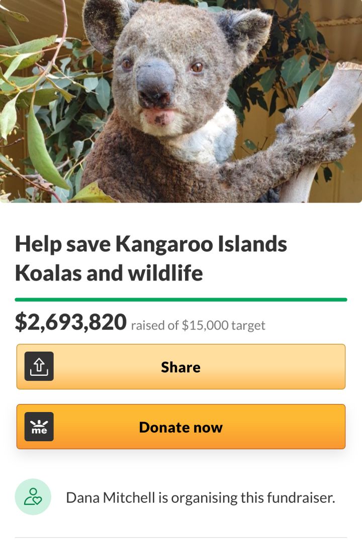 Here Are The Top Five GoFundMe Campaigns Aussies Donated To In This Utter Shitstorm Of A Year