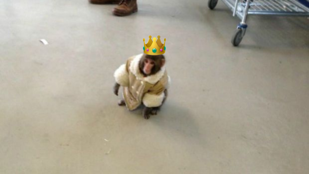 The IKEA Monkey
