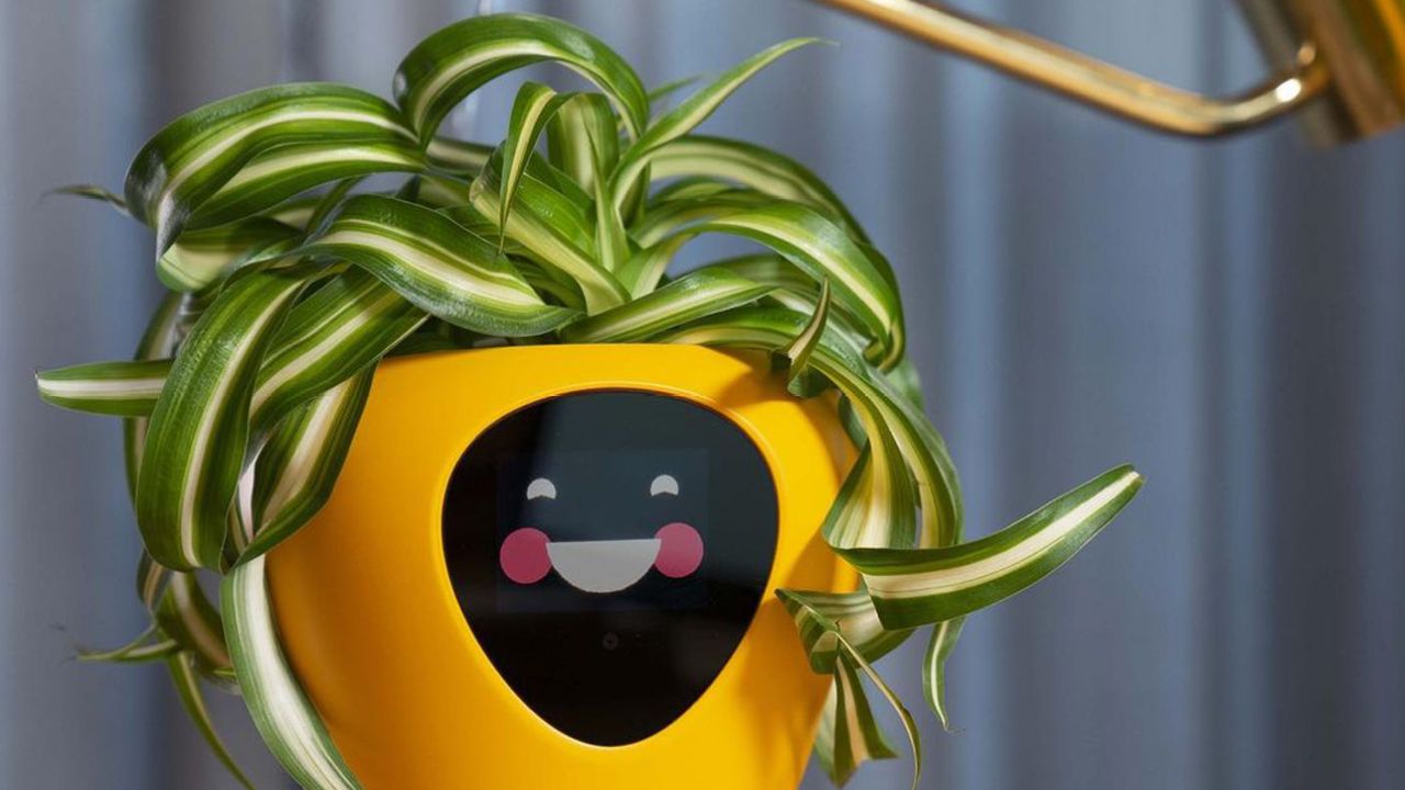There’s A Pot That Tells You How Healthy Your Plant Is, So You Can Stop Buying Monsteras