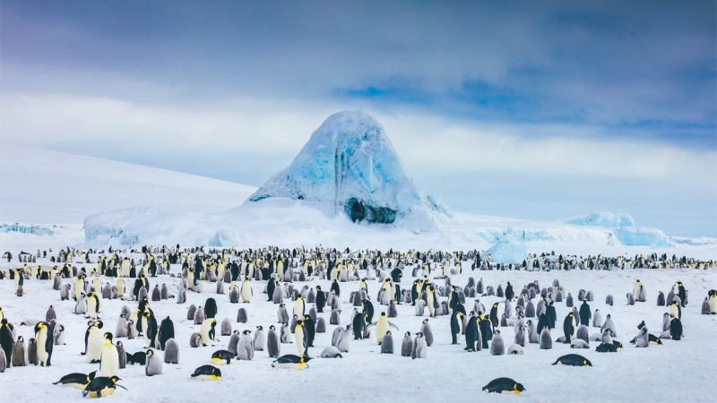 COVID-19 Cases Have Now Been Recorded In Antarctica, Making It The Last Continent To Be Hit