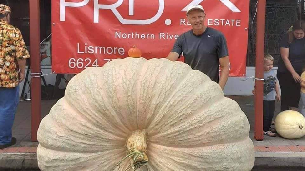 I Need Someone To Hold Me Like This Man Holds The Heaviest Pumpkin In The Southern Hemisphere