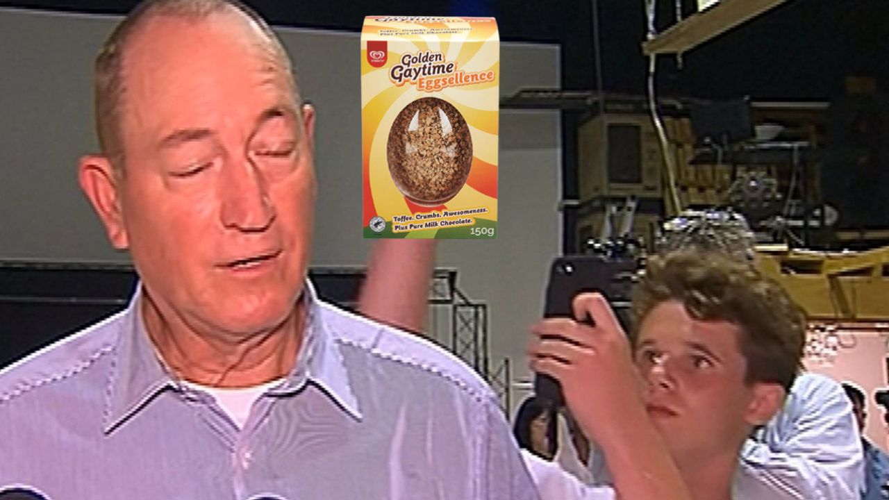 Feast Yr Eyes On The Golden Gaytime Choccy Egg Before It Gets Smashed On Fraser Anning’s Head