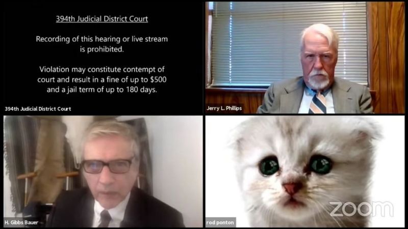 Please Watch This Poor Attorney Navigate A Digital Court Hearing While Stuck On The Cat Filter