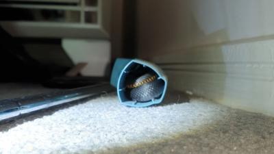 A Wee Snake Was Found Inside A Teen’s Asthma Puffer In QLD & I Think The Fuck Not, Straya