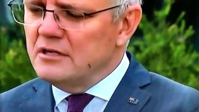 An Ant Crawled Onto ScoMo’s Face This Morning, And I’ve Never Wanted To Be An Ant Less