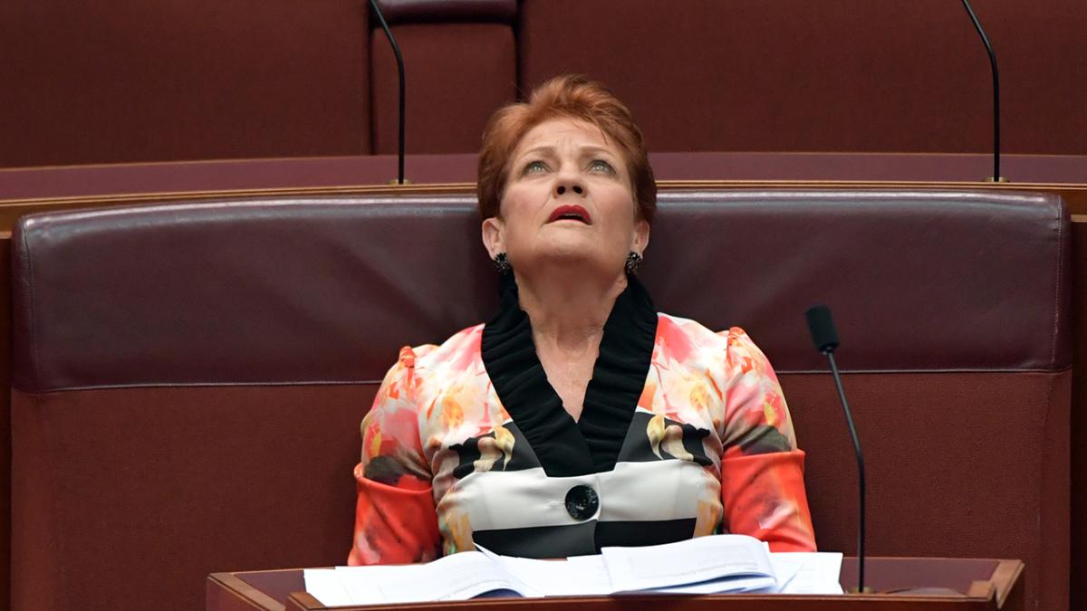 Pauline Hanson in Parliament