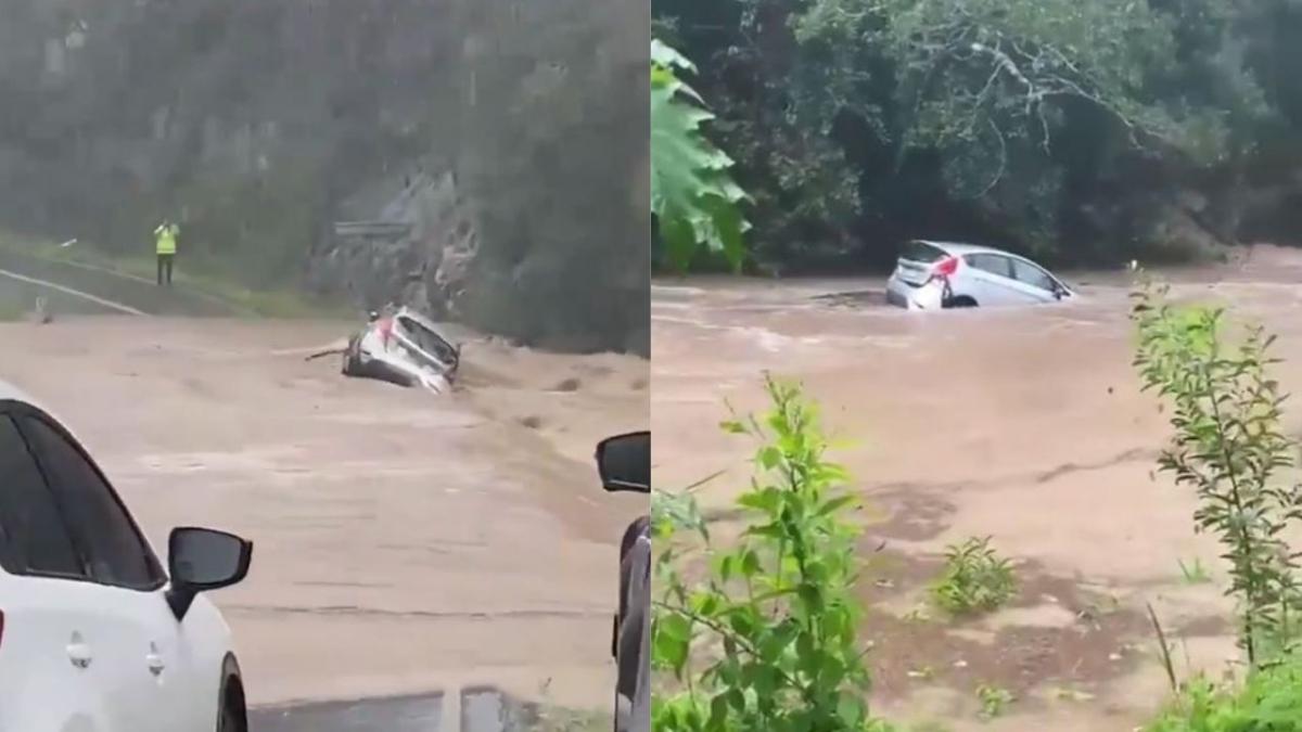 car flood queensland video